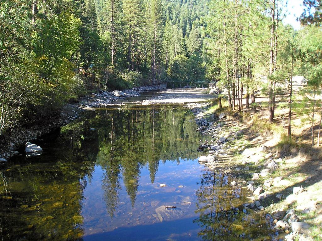Yosemite Lakes Wheelchair Accessible Cabin 46 Harden Flat Exterior foto